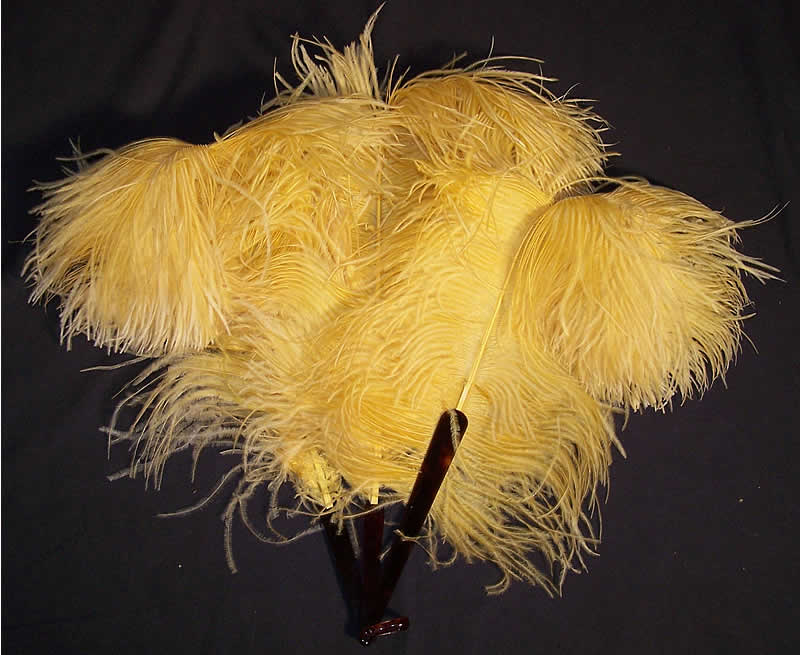 Edwardian Yellow Ostrich Feather Fan  