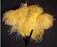 Edwardian Yellow Ostrich Feather Fan  