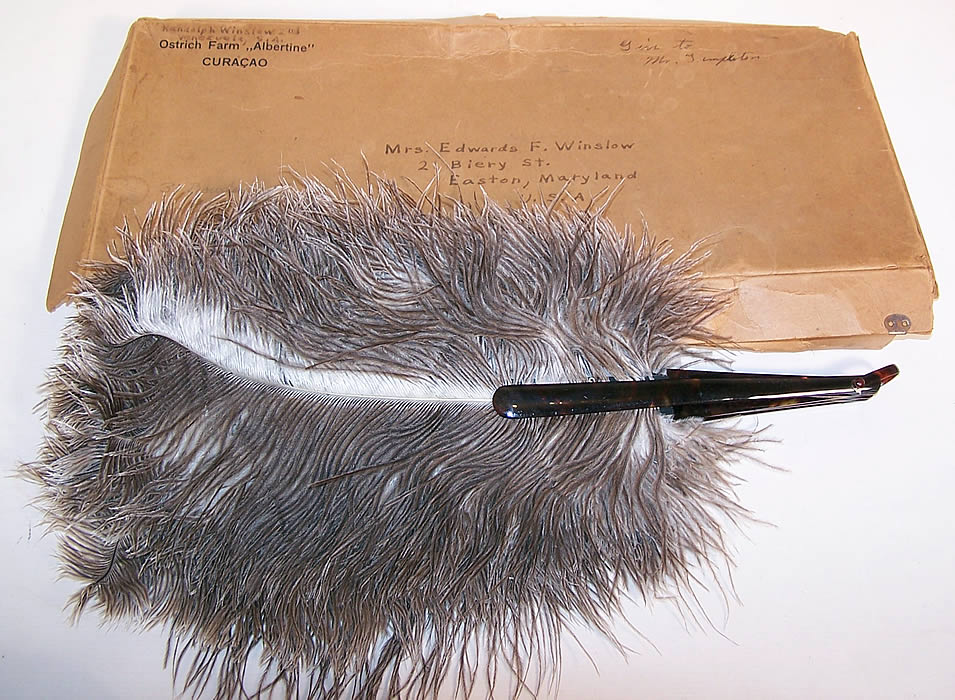 Antique Ostrich Farm Albertine Curacao Natural Gray Feather Fan & Box
