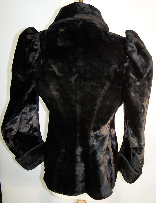 Victorian Plush Velvet Beaver Fur Winter Coat Jacket back view