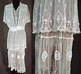 Titanic Edwardian Embroidered White Tulle Net Lace Applique Dress Tea Gown

