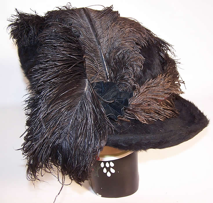 Edwardian Titanic Black Beaver Felt Fur Feather Large Wide Brim Hat side view