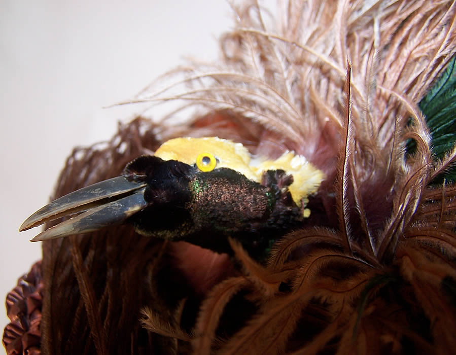 Titanic Edwardian Brown Straw Ostrich Feather Oversized Wide Brim Boater Hat close up.