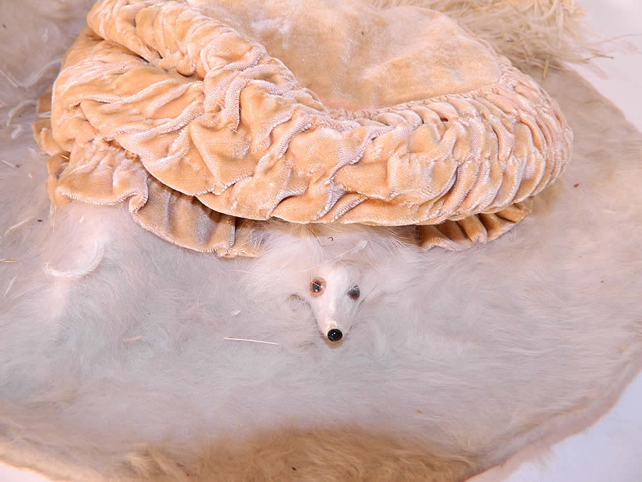 Edwardian Titanic Cream Velvet White Beaver Felt Fur Feather Wide Brim Hat. There is a white faux mink fur animal head trim and large off white ostrich feather plume. 
