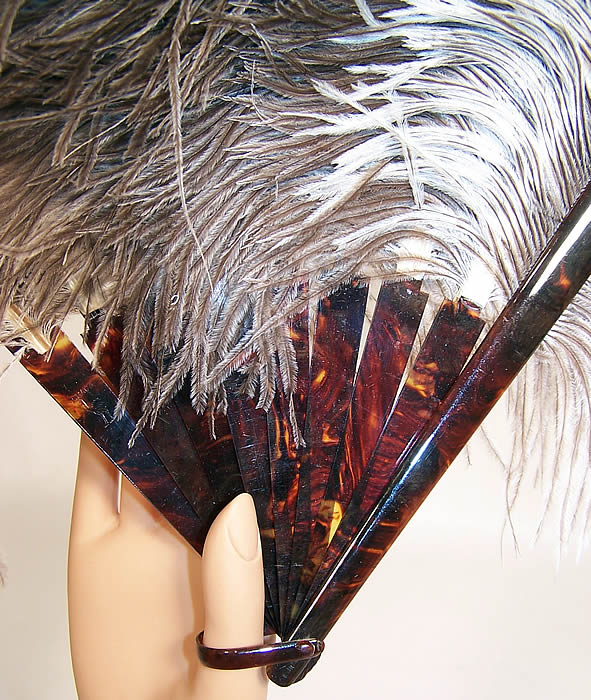Antique Ostrich Farm Albertine Curacao Natural Gray Feather Fan close up.