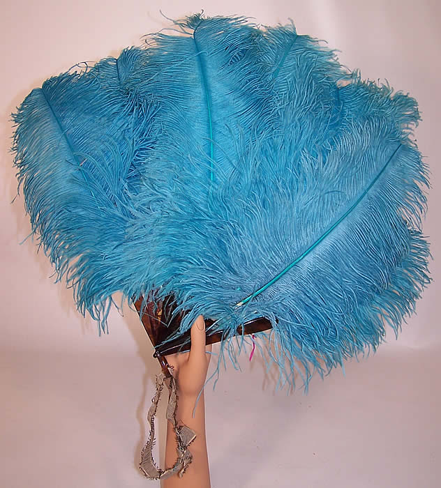 Turquoise ostrich plumes outlet