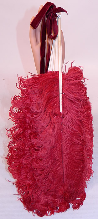 Antique Edwardian Red Ostrich Feather Folding Fan Velvet Ribbon
The fan measures 17 inches long and 44 inches wide when opened. 